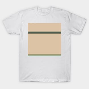 A solitary package of Camo Green, Beige, Artichoke, Oxley and Ebony stripes. T-Shirt